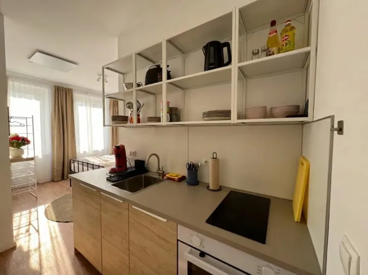 Voll ausgestattete Küche – Großzügiges Zwei-Zimmer-Apartment